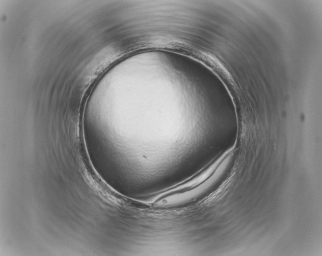 X0000060260938200511112017