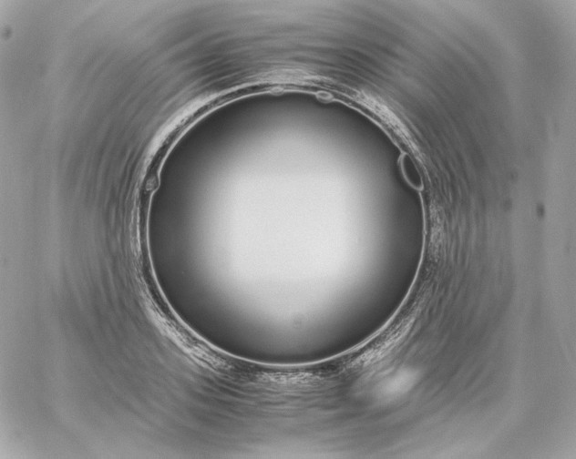 X0000060260939200511112017