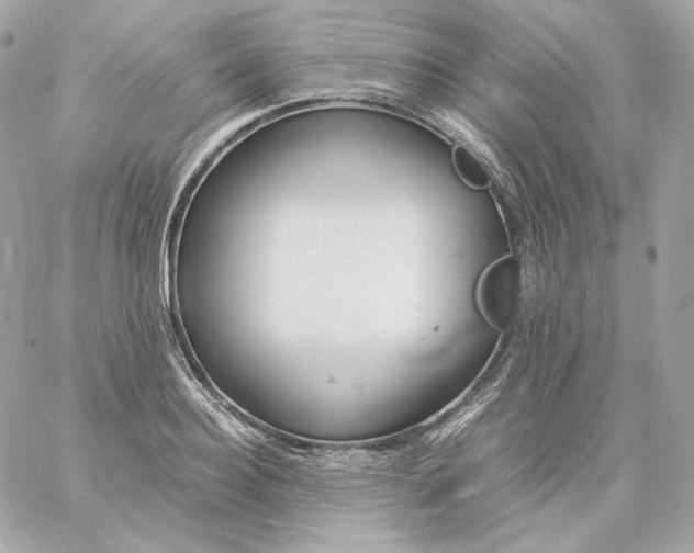 X0000060260940200511112017