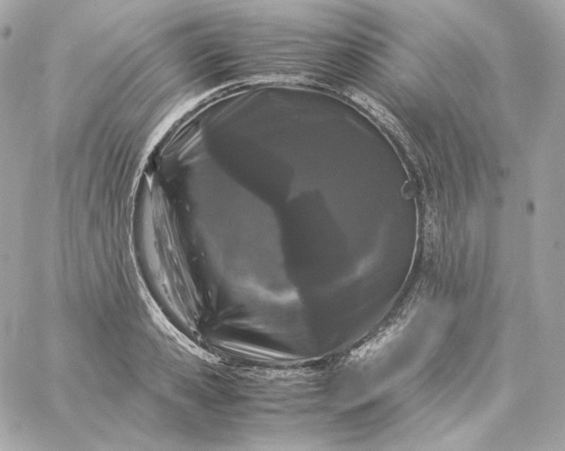 X0000060260941200511112017