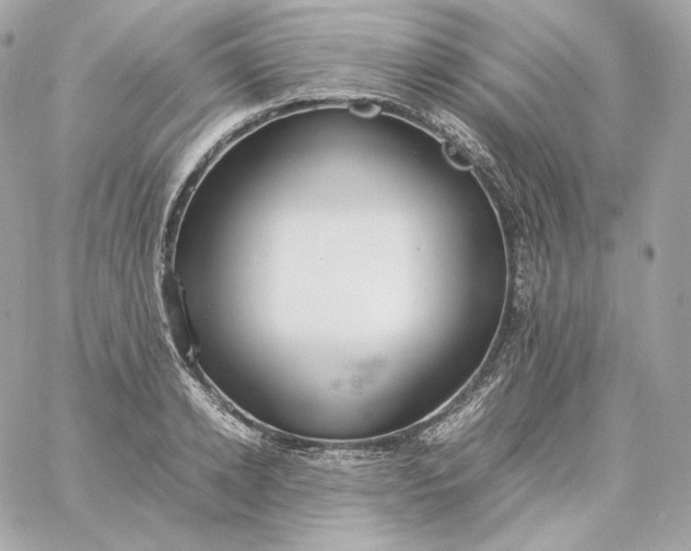 X0000060260942200511112017