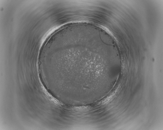 X0000060260943200511112017