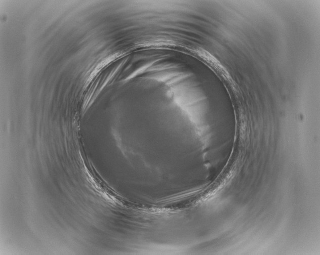 X0000060260945200511112017