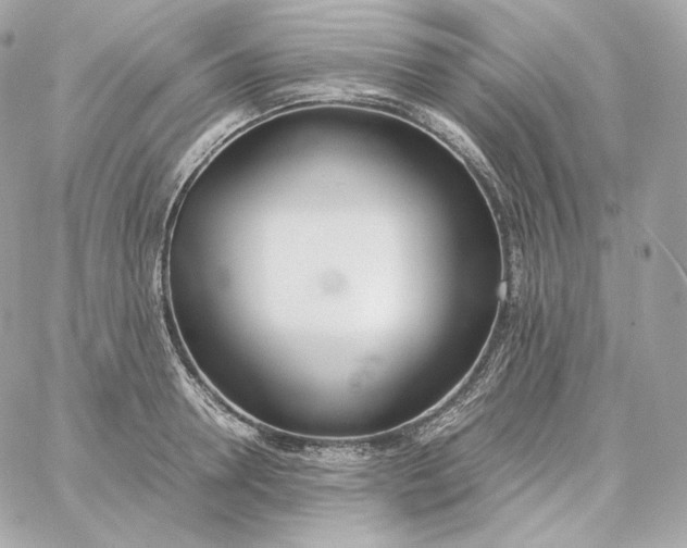 X0000060260946200511112017