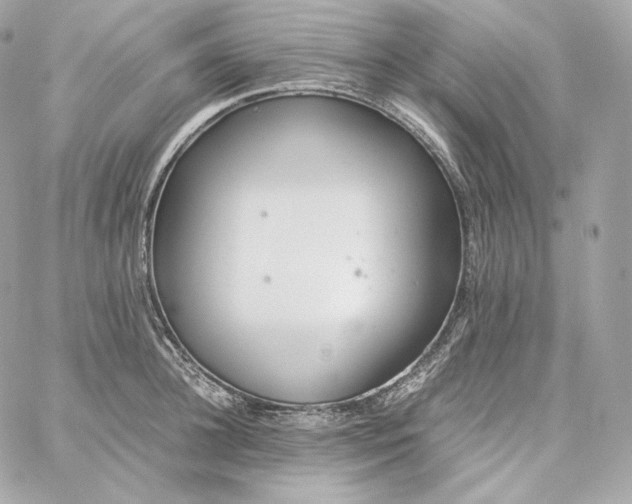 X0000060260948200511112018