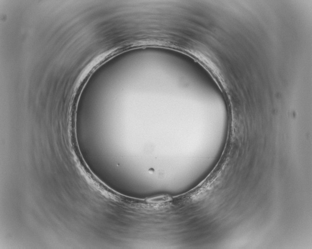 X0000060260949200511112018