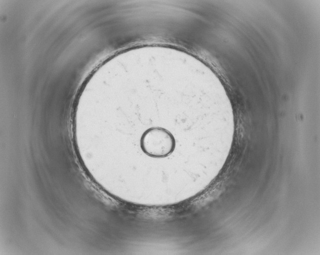 X0000060260950200511112018