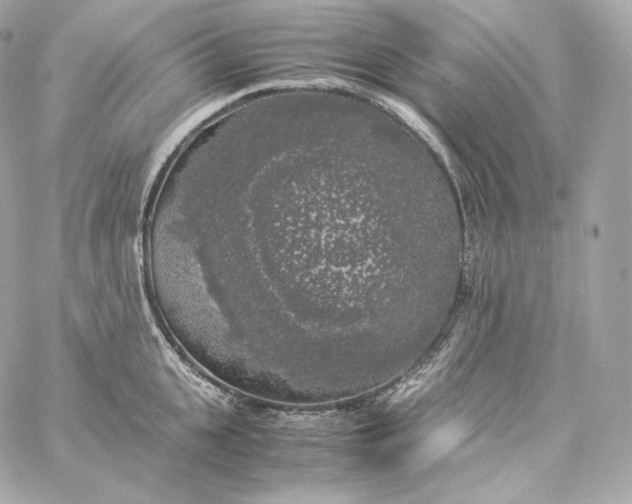 X0000060260951200511112018