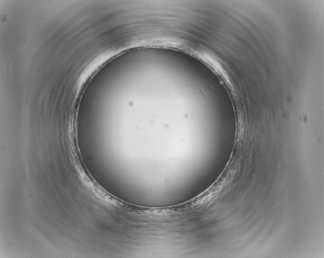 X0000060260952200511112018