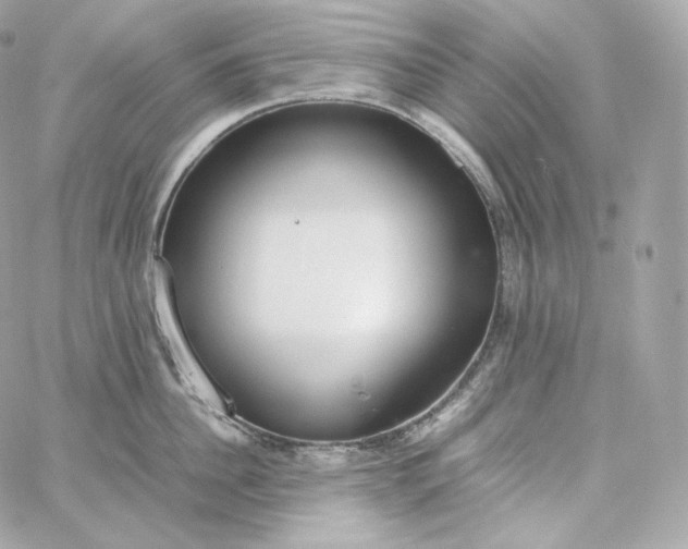 X0000060260956200511112018