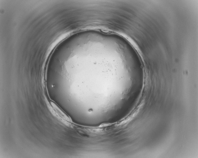 X0000060260957200511112018