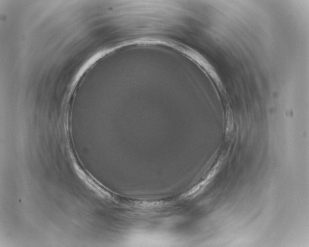 X0000060260958200511112018