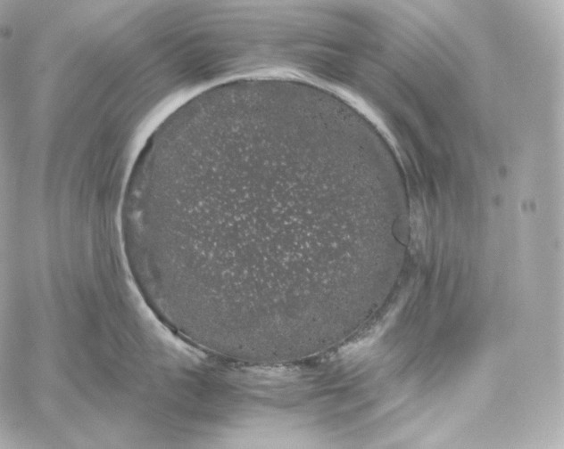 X0000060260959200511112018