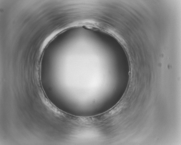 X0000060260960200511112018