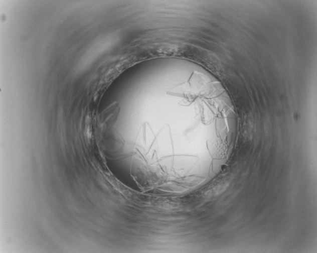 X0000060260962200511112017