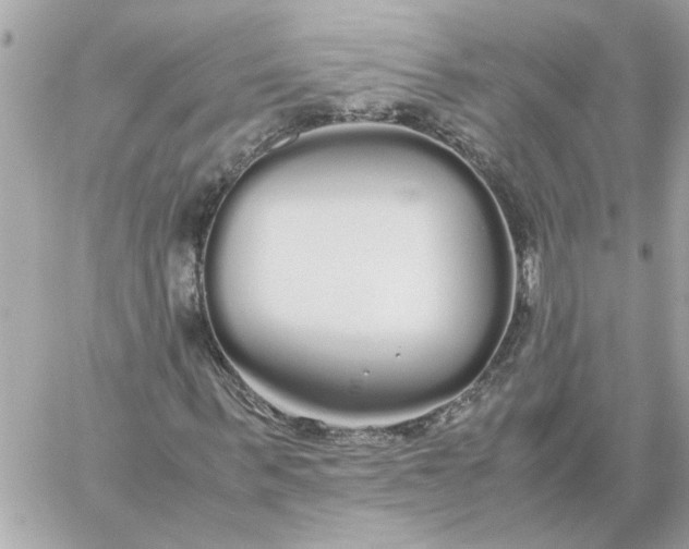 X0000060260963200511112017