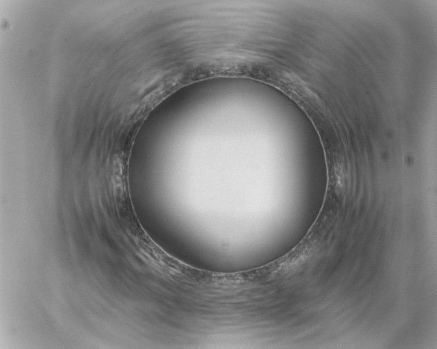 X0000060260964200511112017