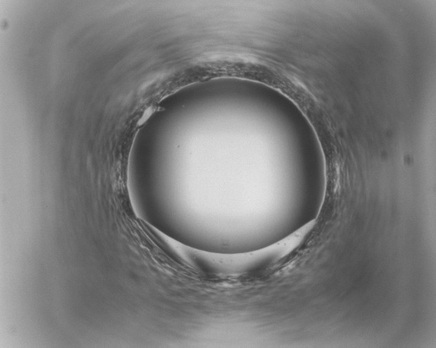 X0000060260965200511112017