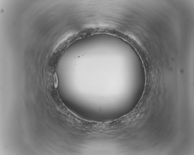 X0000060260967200511112017