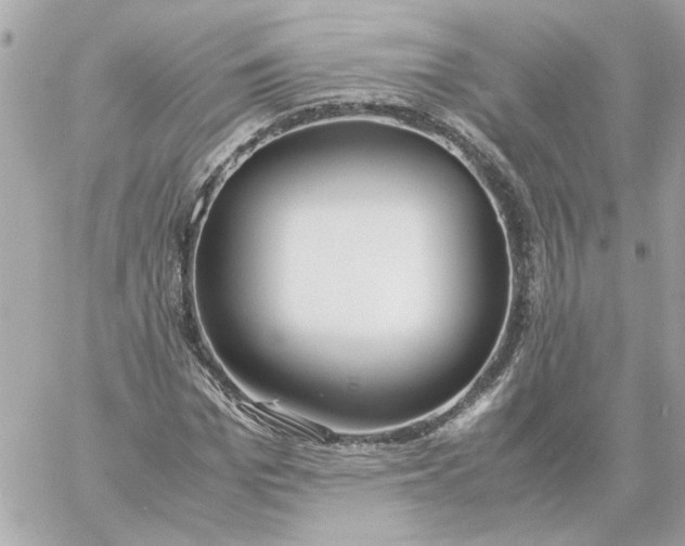 X0000060260969200511112017