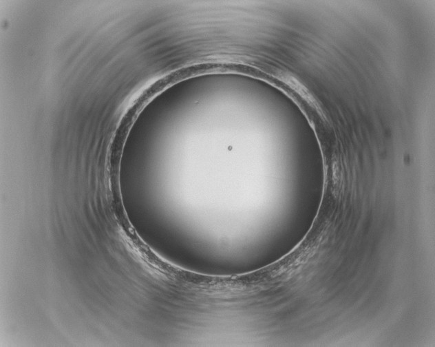 X0000060260972200511112017