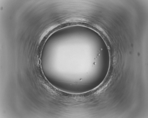 X0000060260973200511112017