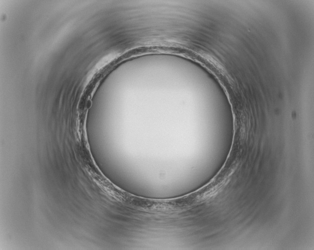 X0000060260974200511112017