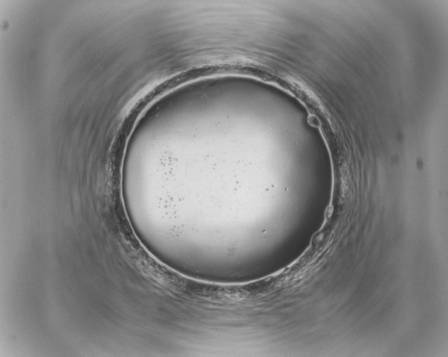 X0000060260975200511112017