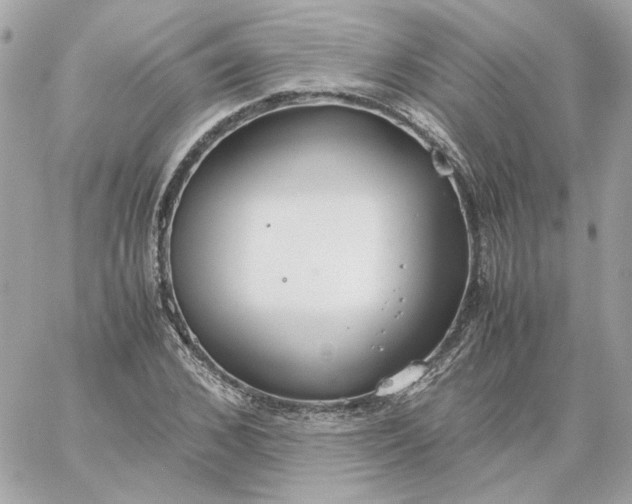 X0000060260976200511112017