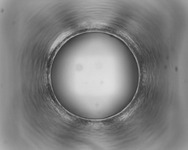 X0000060260978200511112017