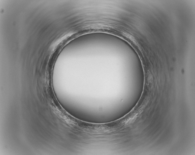 X0000060260979200511112017