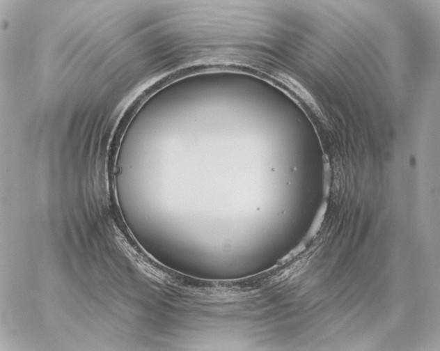 X0000060260980200511112016