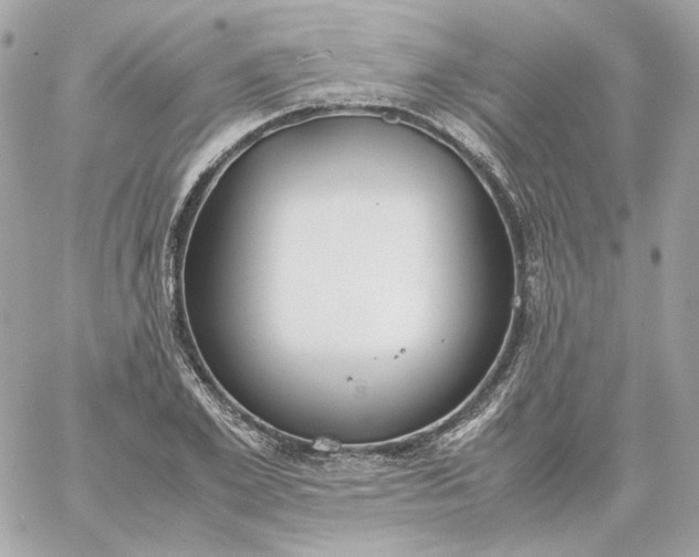 X0000060260981200511112016