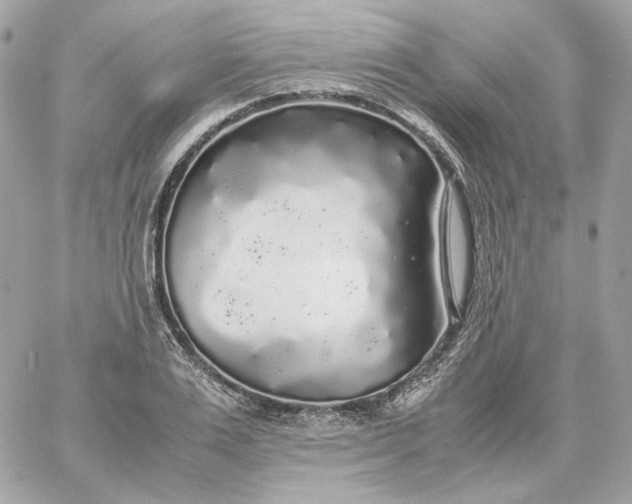 X0000060260983200511112016