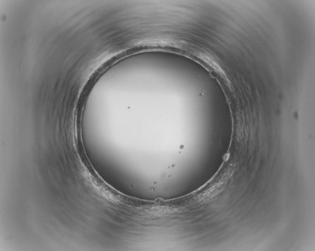 X0000060260984200511112016