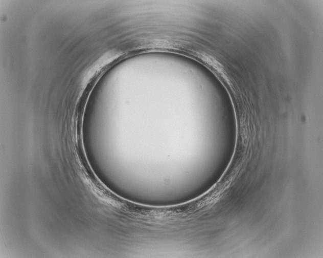 X0000060260987200511112016