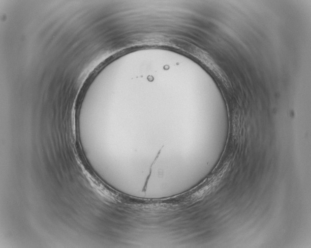 X0000060260988200511112016