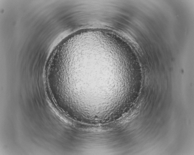 X0000060260990200511112016