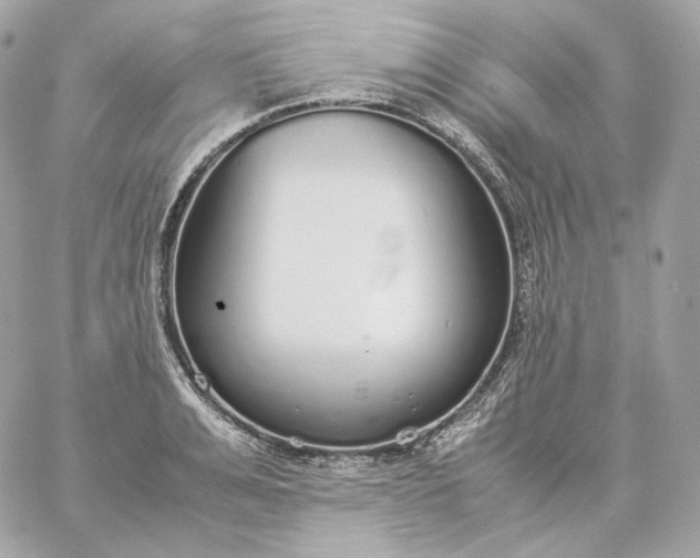 X0000060260991200511112016