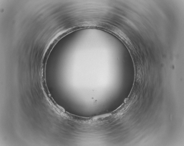 X0000060260992200511112016