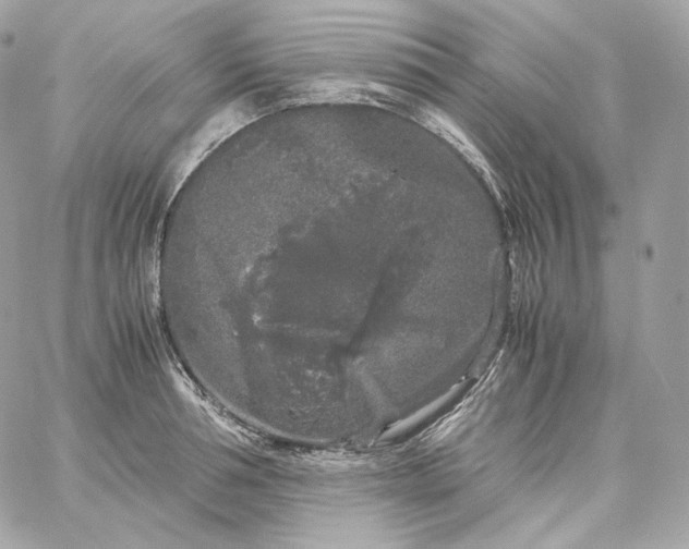 X0000060260994200511112016