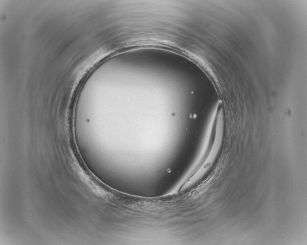 X0000060260995200511112016