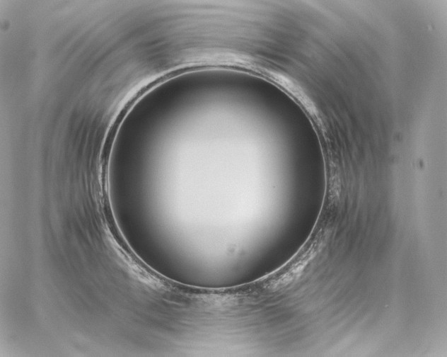 X0000060260996200511112016