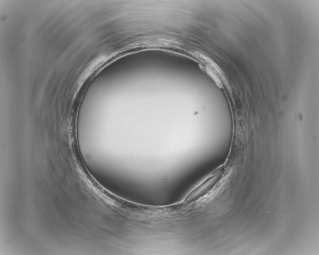 X0000060260997200511112016