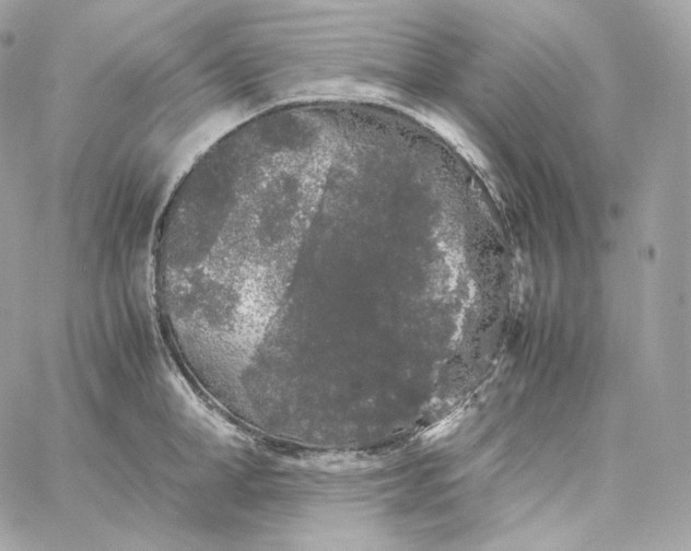 X0000060260998200511112016