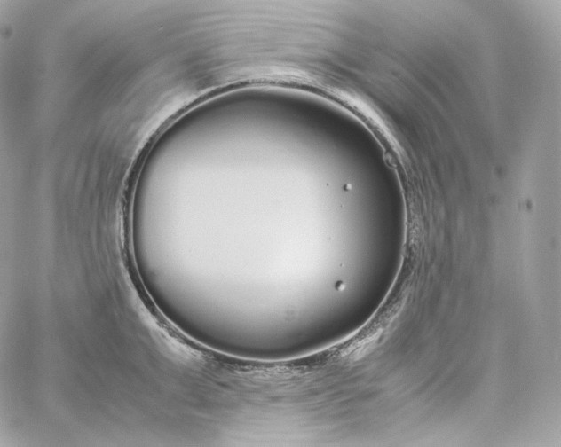 X0000060260999200511112016