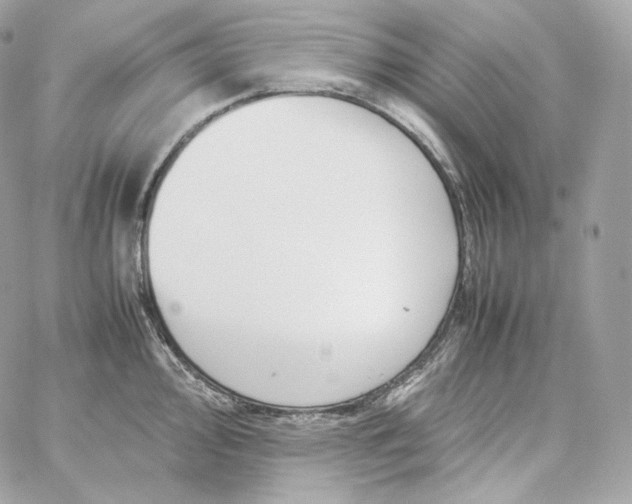 X0000060261000200511112016