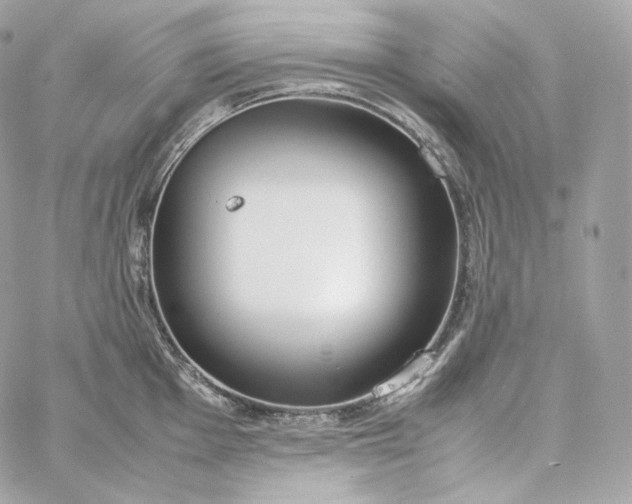 X0000060261001200511112016