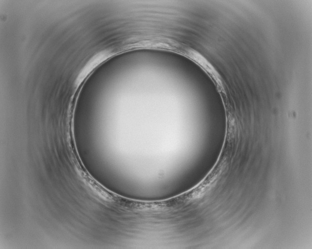 X0000060261002200511112016