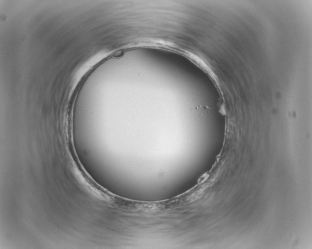 X0000060261003200511112016